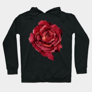 Red Rose Hoodie